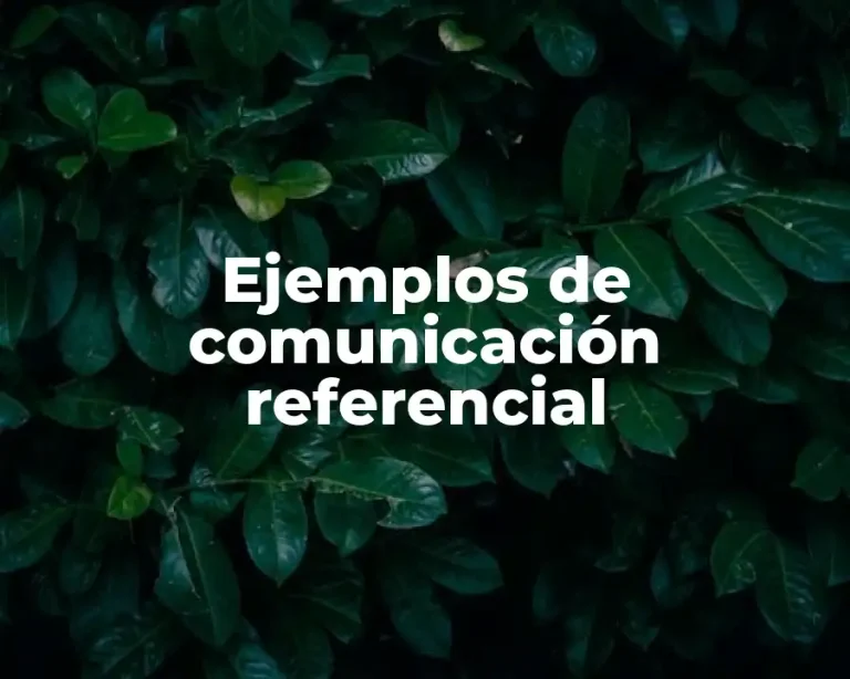 Ejemplos de comunicación referencial
