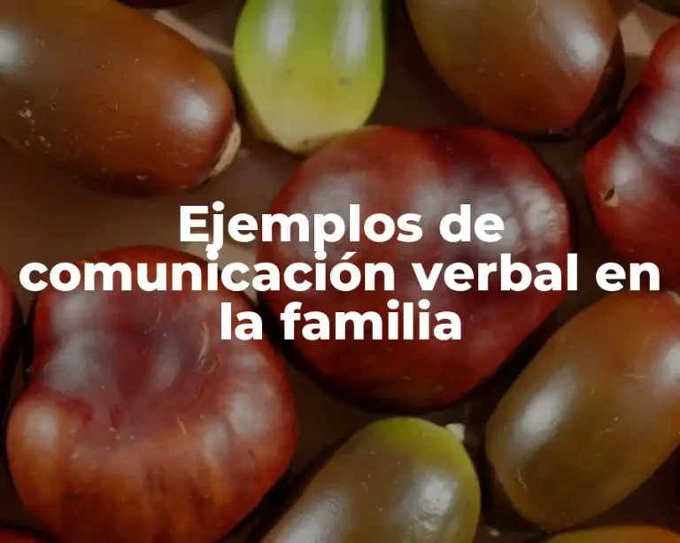Ejemplos de comunicación verbal en la familia