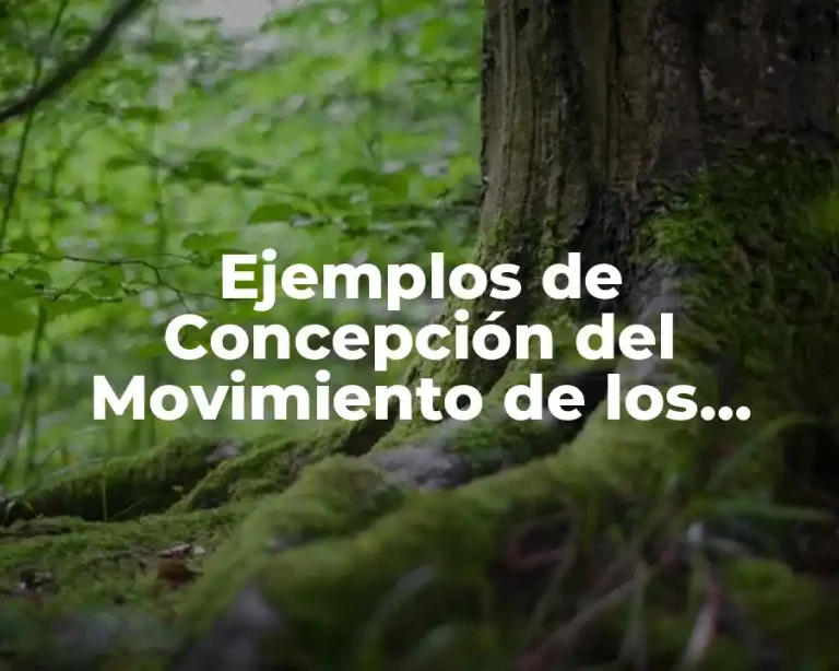 Ejemplos de Concepción del Movimiento de los Cuerpos según Aristóteles