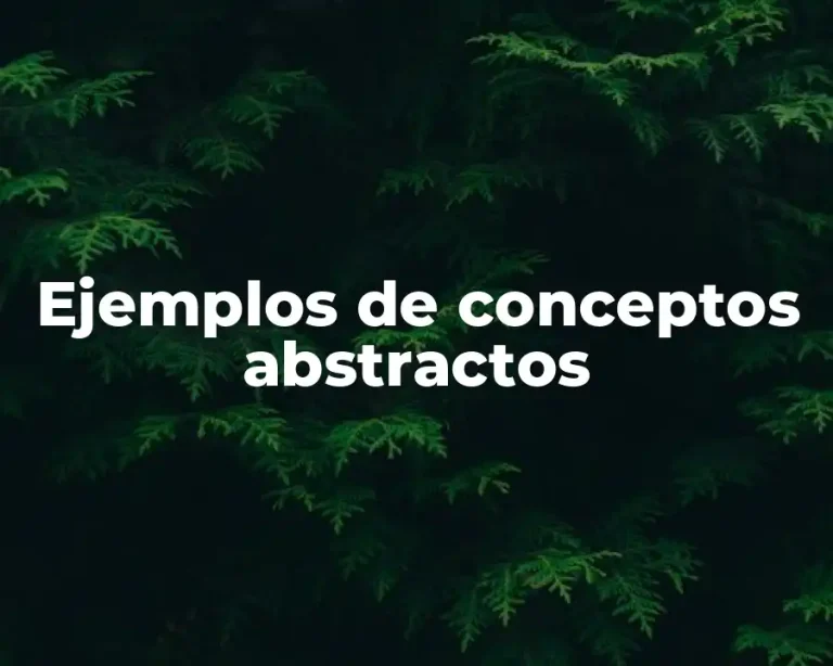 Ejemplos de conceptos abstractos