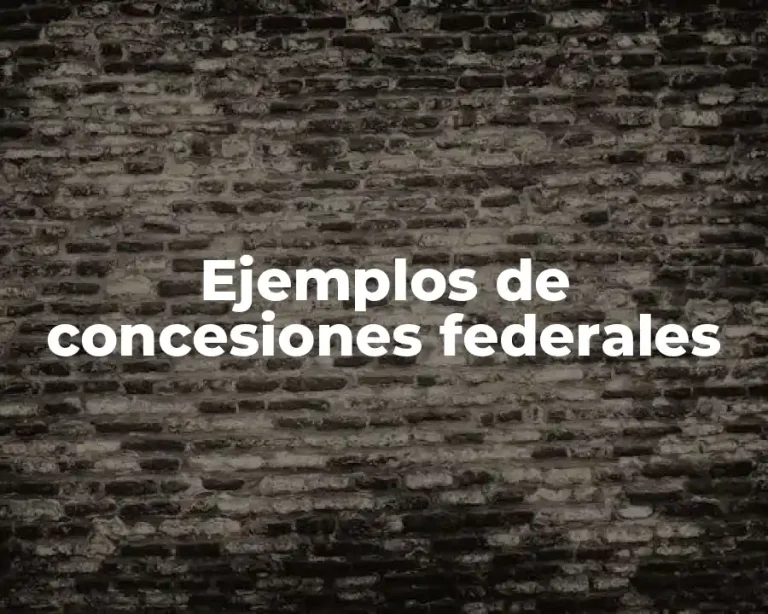 Ejemplos de concesiones federales