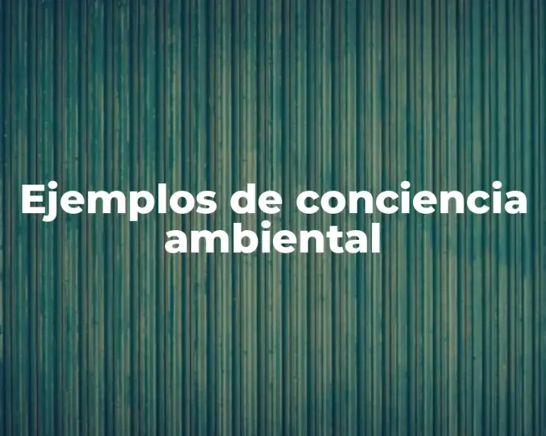 Ejemplos de conciencia ambiental