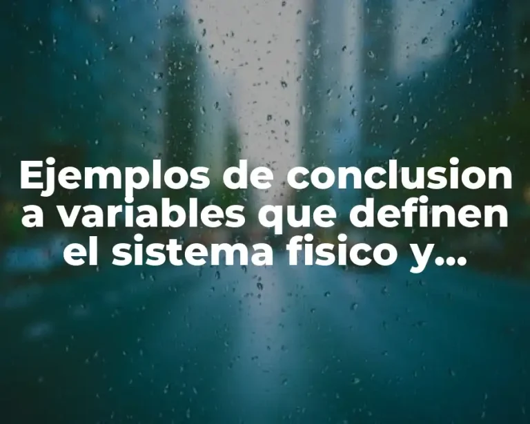 Ejemplos de conclusion a variables que definen el sistema fisico y Significado