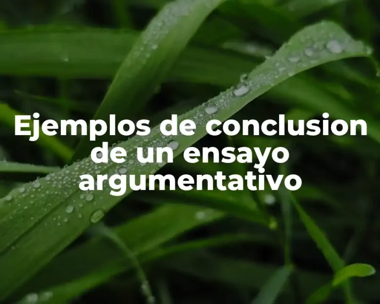 Ejemplos de conclusion de un ensayo argumentativo