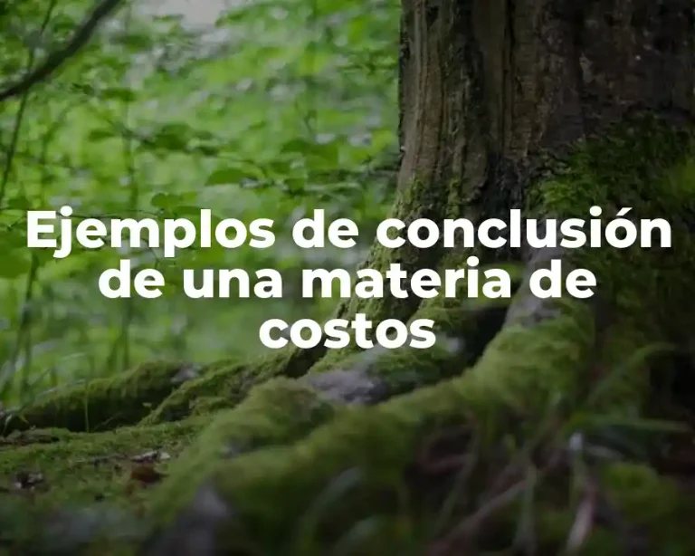 Ejemplos de conclusión de una materia de costos