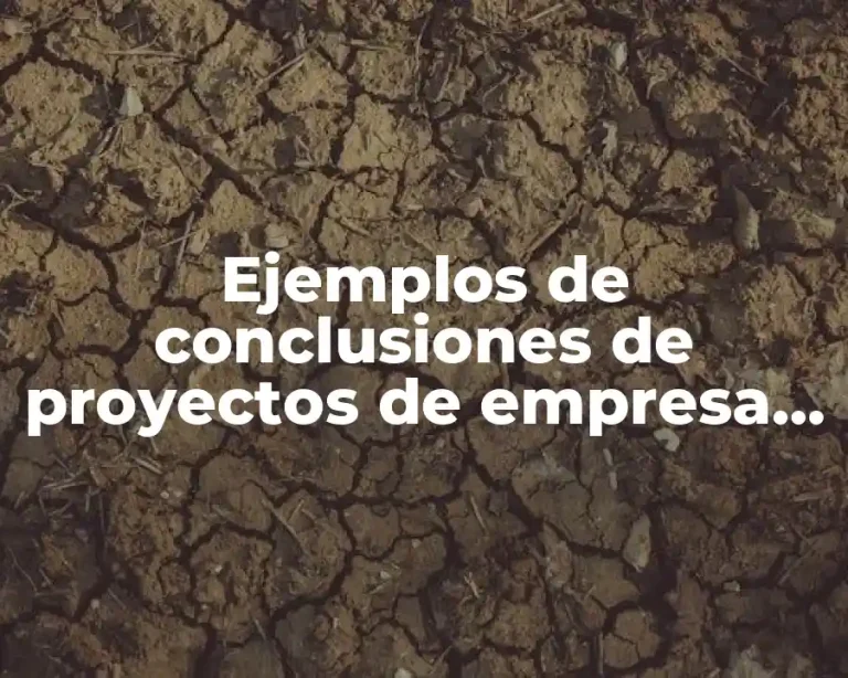 Ejemplos de conclusiones de proyectos de empresa Bimbo