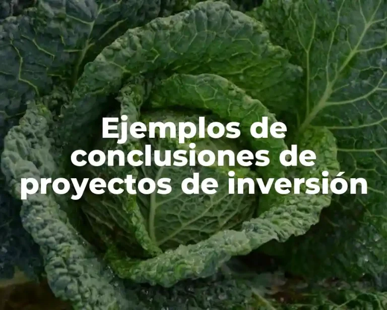 Ejemplos de conclusiones de proyectos de inversión