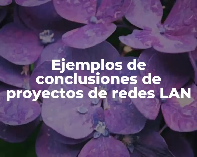 Ejemplos de conclusiones de proyectos de redes LAN