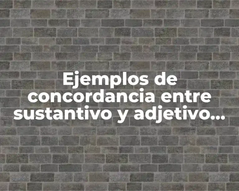 Ejemplos de concordancia entre sustantivo y adjetivo para primaria