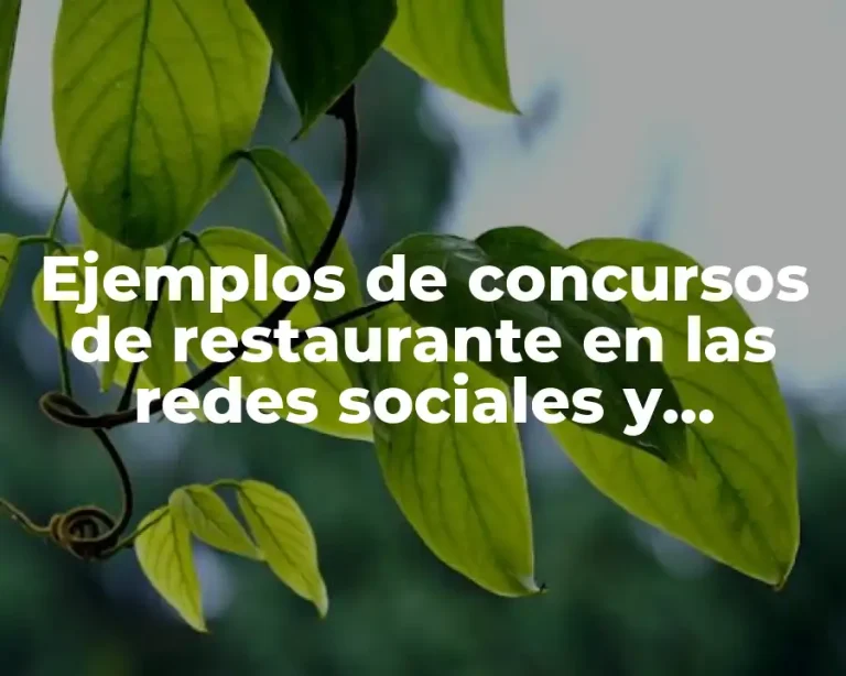 Ejemplos de concursos de restaurante en las redes sociales y Significado