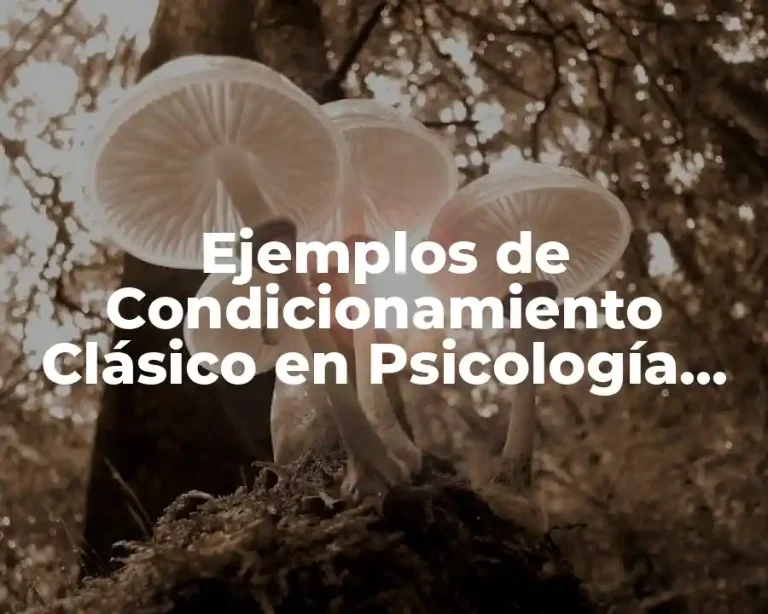 Ejemplos de Condicionamiento Clásico en Psicología Clínica