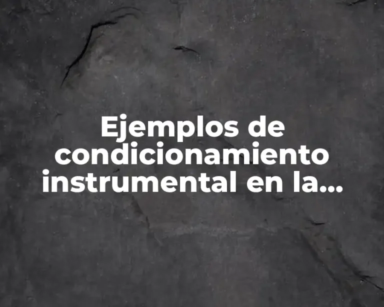 Ejemplos de condicionamiento instrumental en la empresa