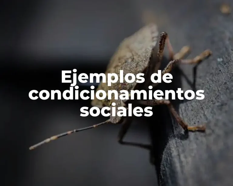 Ejemplos de condicionamientos sociales