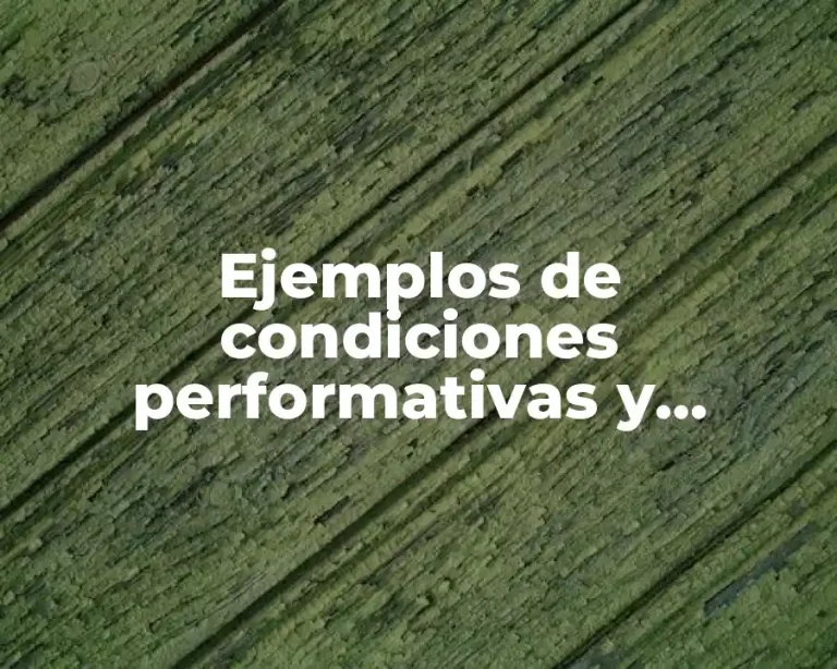 Ejemplos de condiciones performativas y Significado
