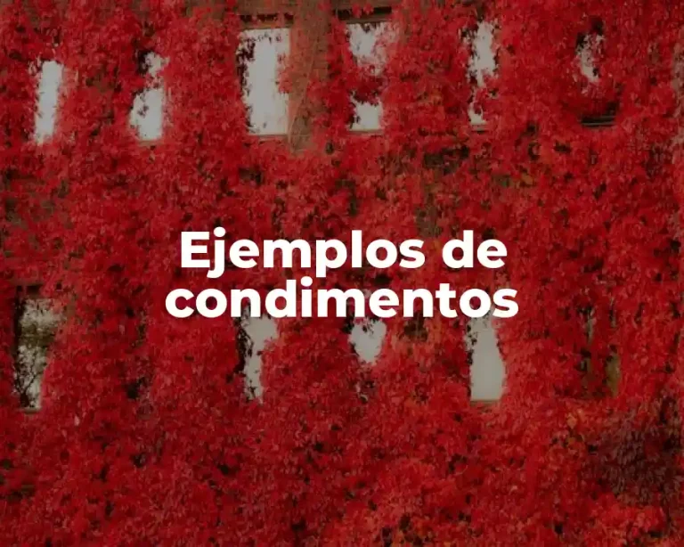 Ejemplos de condimentos