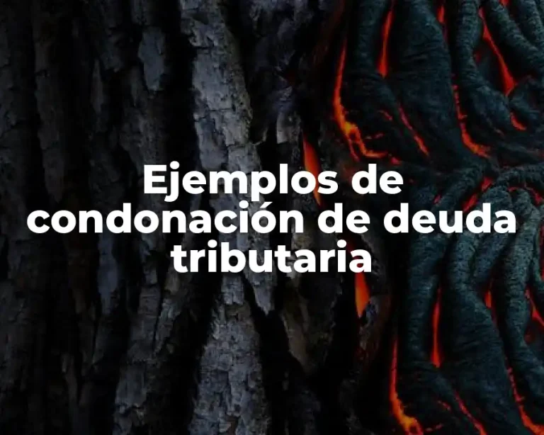 Ejemplos de condonación de deuda tributaria