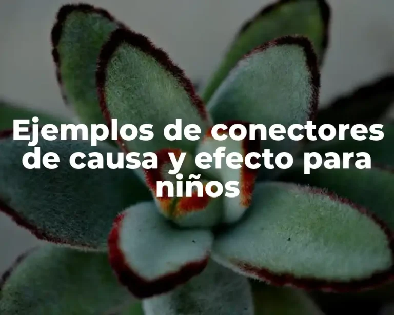 Ejemplos de conectores de causa y efecto para niños