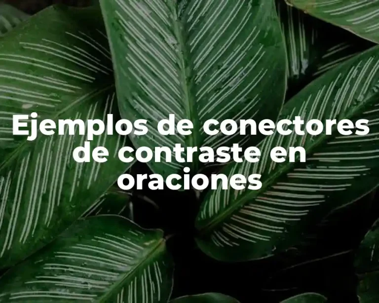 Ejemplos de conectores de contraste en oraciones