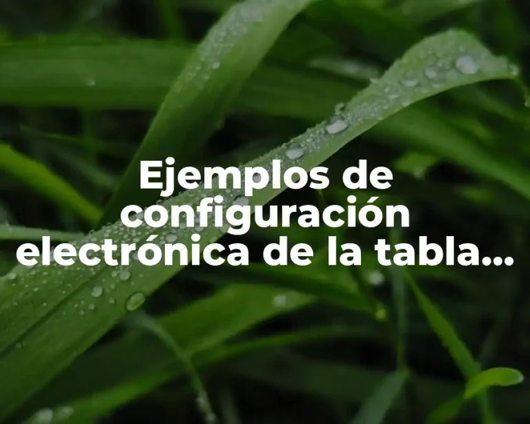 Ejemplos de configuración electrónica de la tabla periodica y Significado