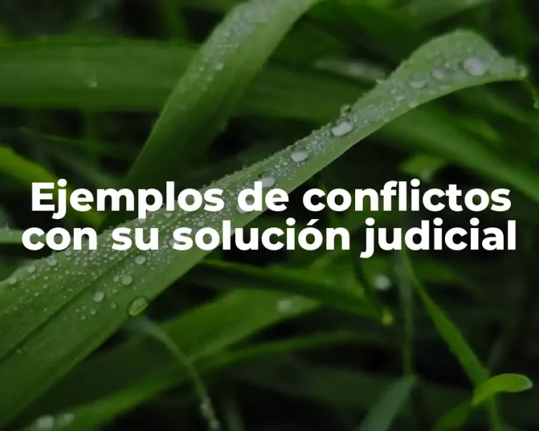 Ejemplos de conflictos con su solución judicial