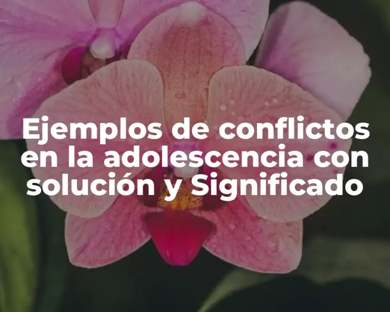 Ejemplos de conflictos en la adolescencia con solución y Significado