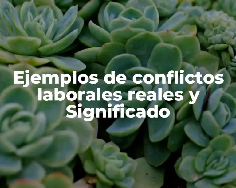 Ejemplos de conflictos laborales reales y Significado