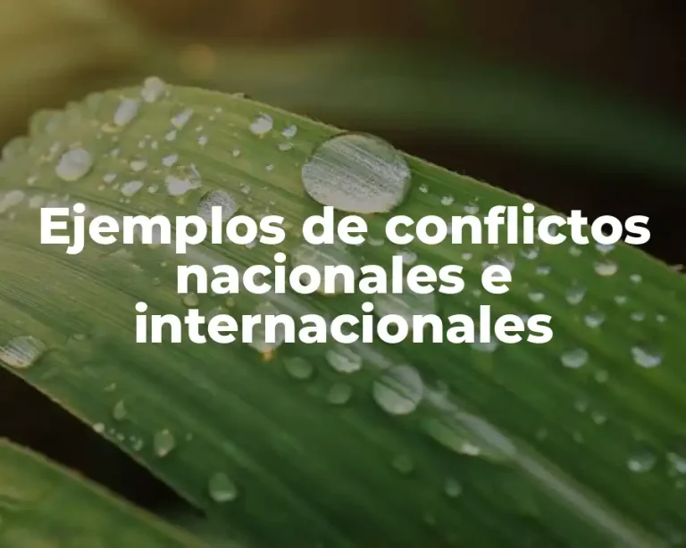 Ejemplos de conflictos nacionales e internacionales
