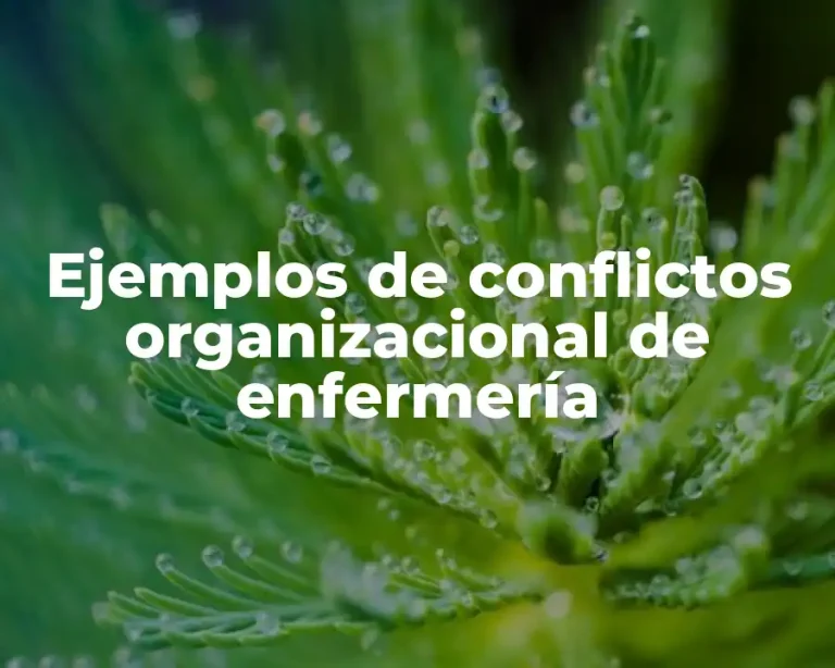 Ejemplos de conflictos organizacional de enfermería