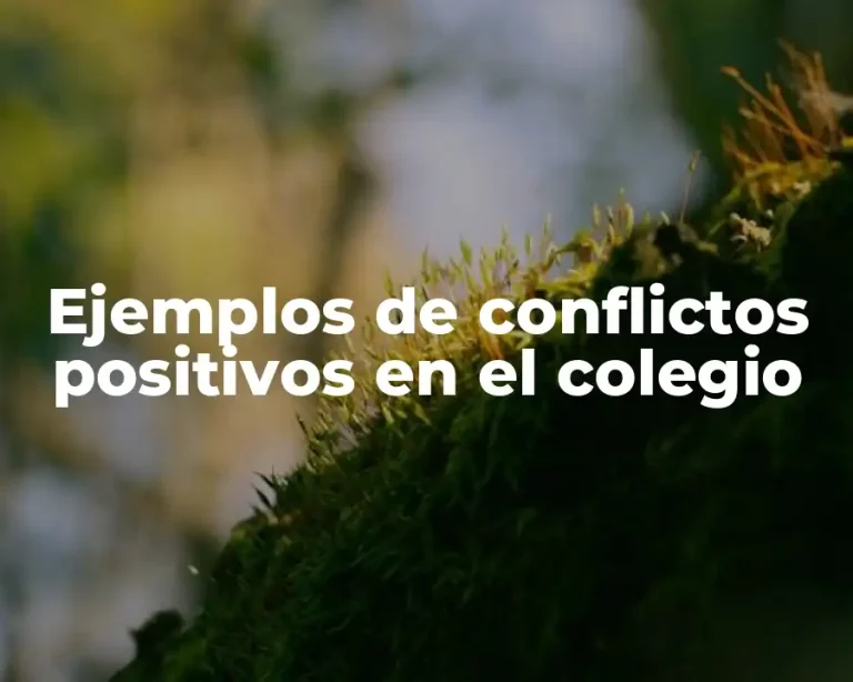 Ejemplos de conflictos positivos en el colegio