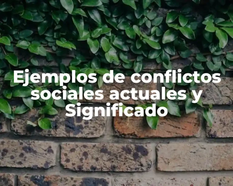 Ejemplos de conflictos sociales actuales y Significado