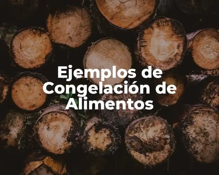 Ejemplos de Congelación de Alimentos