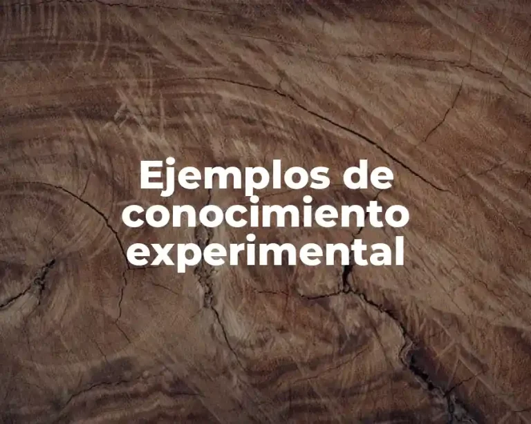Ejemplos de conocimiento experimental