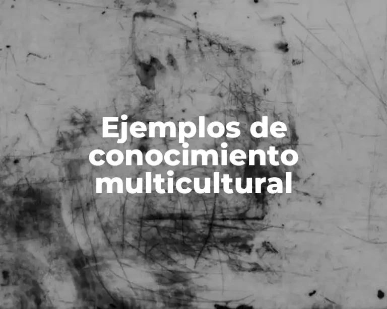 Ejemplos de conocimiento multicultural