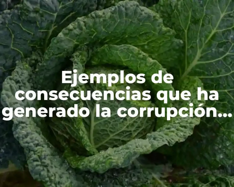 Ejemplos de consecuencias que ha generado la corrupción en Tecamac