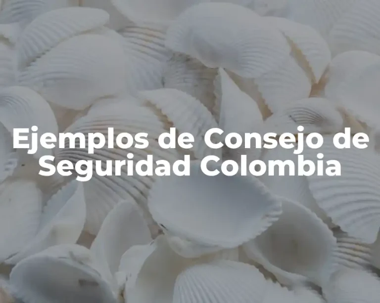 Ejemplos de Consejo de Seguridad Colombia