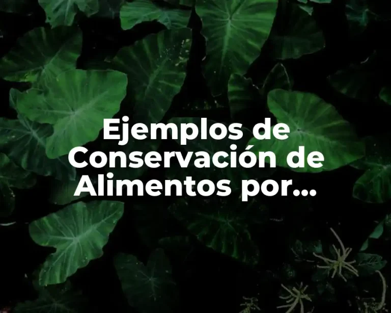 Ejemplos de Conservación de Alimentos por Escabechado