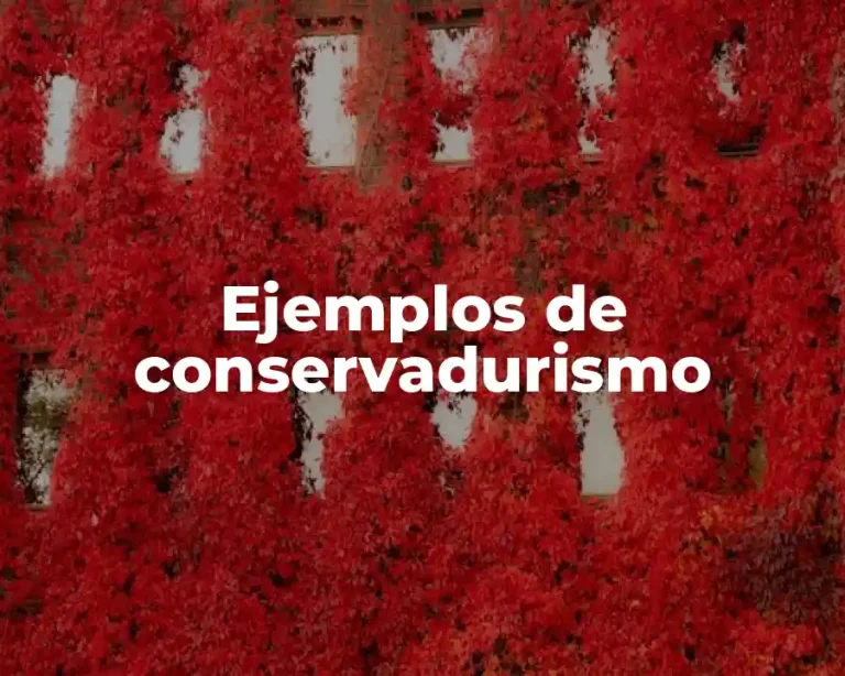 Ejemplos de conservadurismo