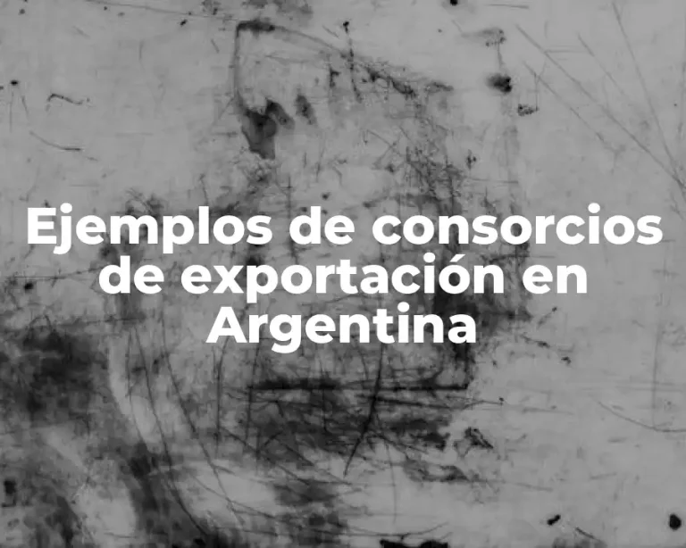 Ejemplos de consorcios de exportación en Argentina
