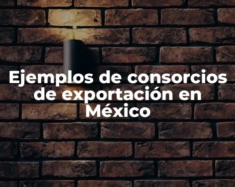 Ejemplos de consorcios de exportación en México