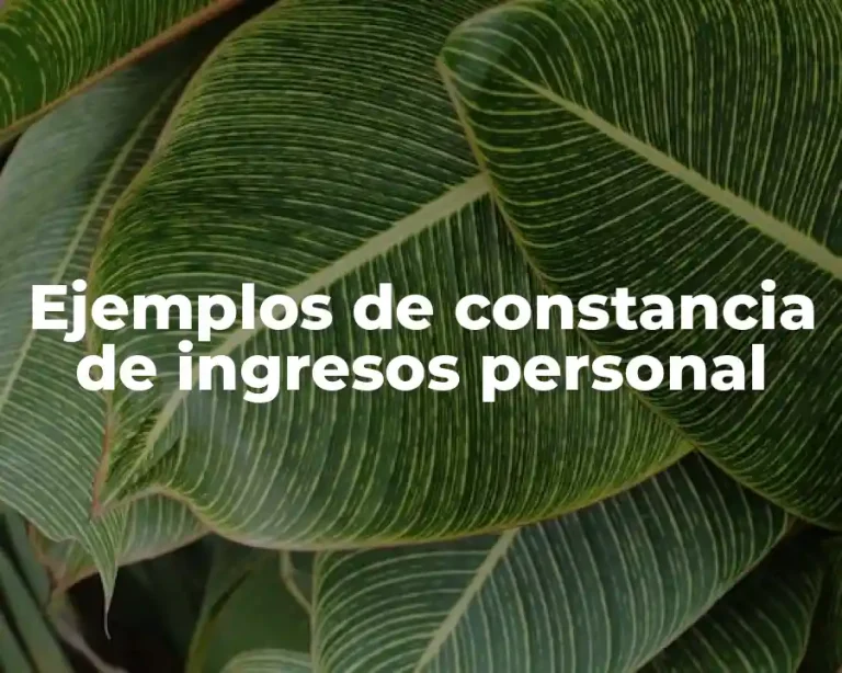 Ejemplos de constancia de ingresos personal