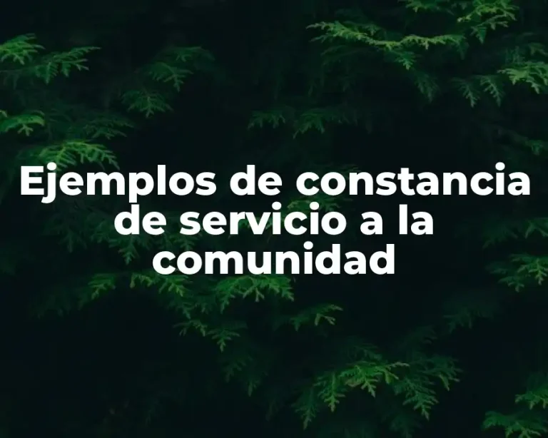 Ejemplos de constancia de servicio a la comunidad