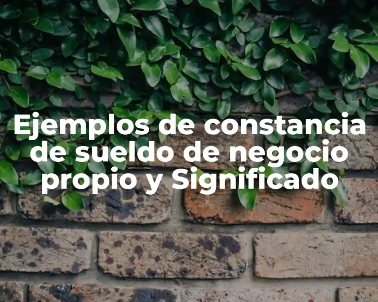 Ejemplos de constancia de sueldo de negocio propio y Significado
