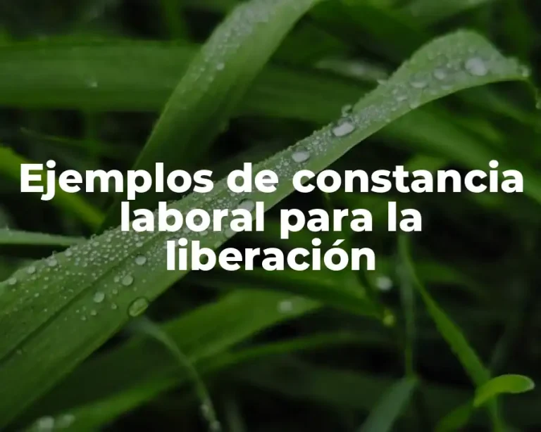 Ejemplos de constancia laboral para la liberación