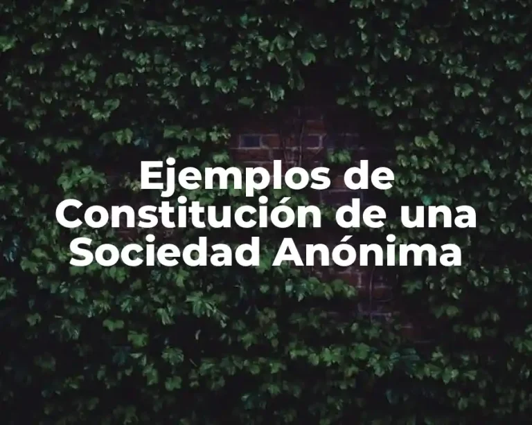 Ejemplos de Constitución de una Sociedad Anónima
