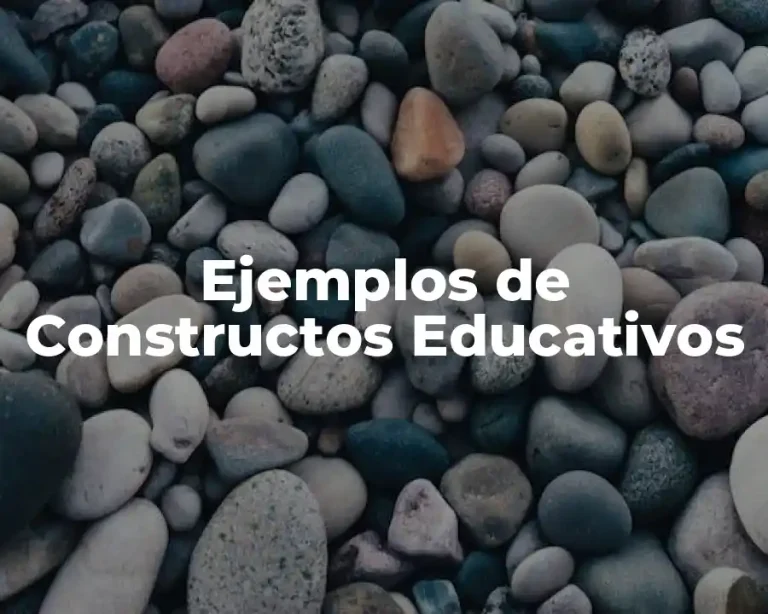 Ejemplos de Constructos Educativos