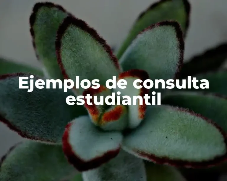 Ejemplos de consulta estudiantil