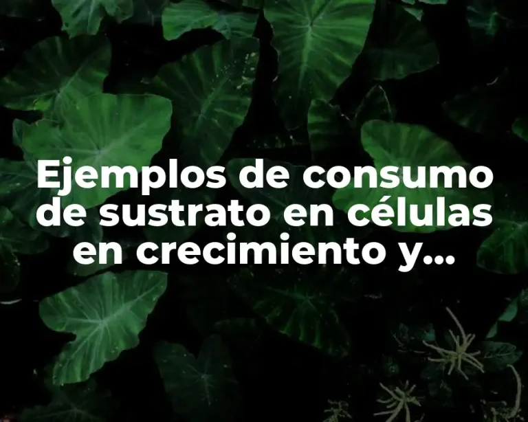 Ejemplos de consumo de sustrato en células en crecimiento y Significado