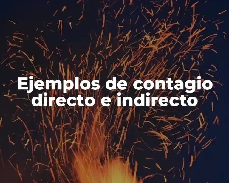 Ejemplos de contagio directo e indirecto