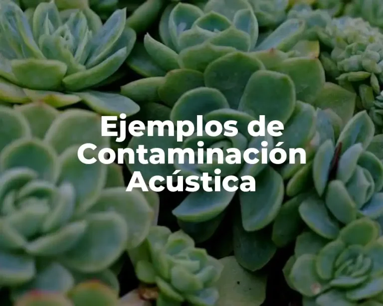 Ejemplos de Contaminación Acústica