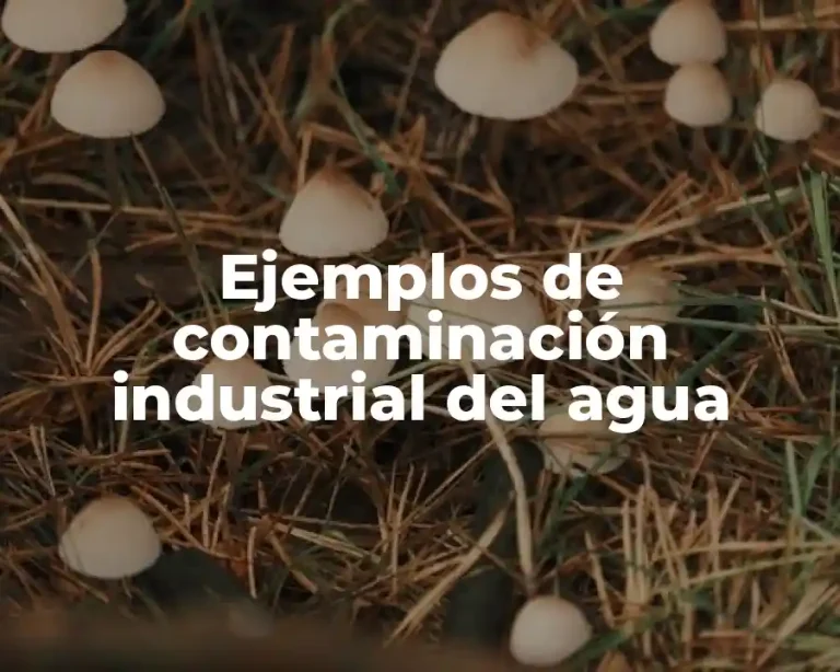 Ejemplos de contaminación industrial del agua